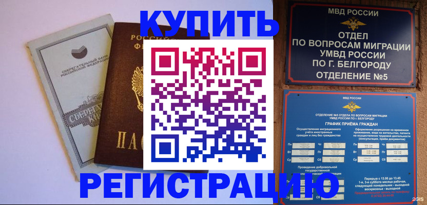 временная прописка в Михайловке